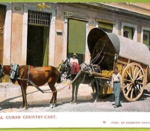 aa5948 - HABANA - Vintage Postcard - Ethnic