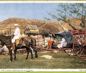 aa5986 - HABANA - Vintage Postcard - Ethnic