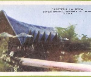 aa5985 - HABANA - Vintage Postcard - Parque Nacional Peninsula de Zapata