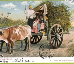 aa5996 - HABANA - Vintage Postcard - Ethnic - 1907