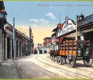 aa6000 - HABANA - Vintage Postcard - Monte Avenue