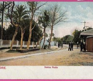 ag2910 - EGYPT - VINTAGE POSTCARD - Alexandrie