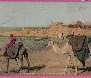 ag2911 - EGYPT - VINTAGE POSTCARD - Alexandrie