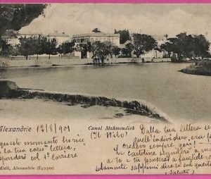 ag2897 - EGYPT - VINTAGE POSTCARD - Alexandrie - 1901