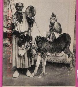 ag2835 - EGYPT - VINTAGE POSTCARD - Ethnic