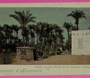 ag2916 - EGYPT - VINTAGE POSTCARD - Alexandrie