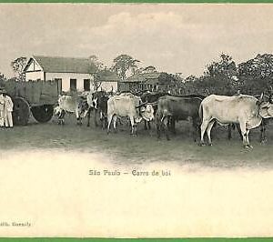 ah2821 -  BRAZIL - VINTAGE POSTCARD Postal Antigua - Sao Paulo, Costumes