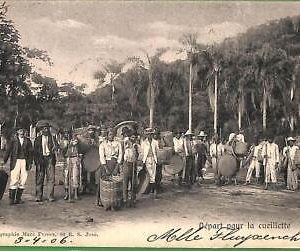 ah2837 - BRAZIL - VINTAGE POSTCARD Postal Antigua - ETHNIC - 1906