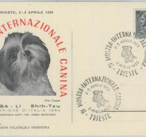 82679 - ITALY - POSTAL HISTORY -  EVENT POSTMARK on card: DOG SHOW 1955