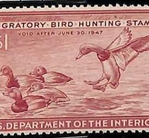 90216e -  USA - STAMPS: SCOTT # RW13  Migratory Bird Hunting Stamp MINT MNH 1946