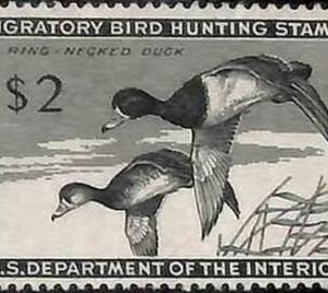90217e - USA - STAMPS: SCOTT # RW21  1954  Migratory Bird Hunting Stamp MINT MNH