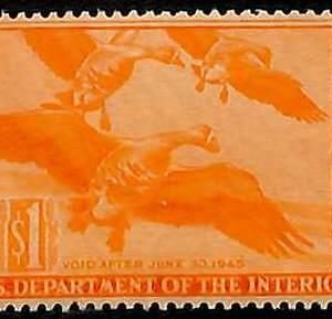 90216c -  USA - STAMPS: SCOTT # RW11  Migratory Bird Hunting Stamp MINT MNH 1944