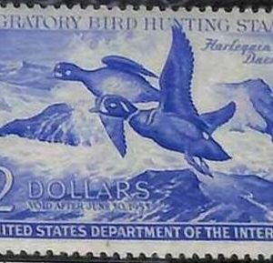 90217d - USA - STAMPS: SCOTT # RW19  1952  Migratory Bird Hunting Stamp MINT MNH