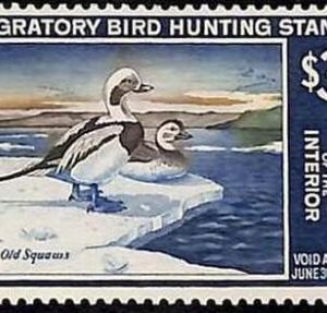 90219c -  USA - STAMPS: SCOTT # RW34  1967 Migratory Bird Hunting Stamp MINT MNH