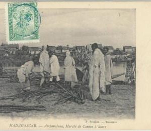 80165 -  MADAGASCAR -  Vintage Postcard - ETHNIC : Ampanalana  1906 SUGAR