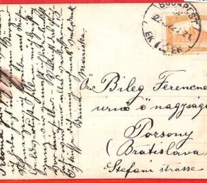 aa1931 - HUNGARY - Postal History -  POSTCARD to SLOVAKIA 1924
