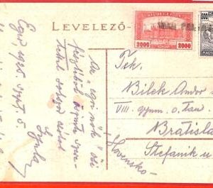 aa1941 - HUNGARY - Postal History -  POSTCARD to SLOVAKIA 1925
