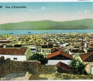98905 -  TURKEY  -  POSTCARD: SMYRNE -  Vue