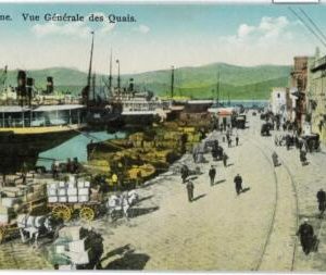 98908 -  TURKEY  -  POSTCARD: SMYRNE -  Vue