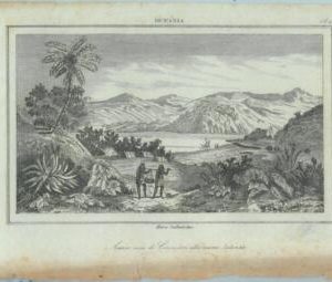 84925 - NEW ZEALAND - VINTAGE Italian Engraving 1800's