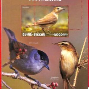 A1896 - GUINEA BISSAU, ERROR: MISSPERF, SOUVENIR SHEET - 2020, Warbles Birds