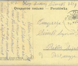 83931 - POLAND - POSTAL HISTORY -  POSTCARD from Przemyśl with PALONA postmark