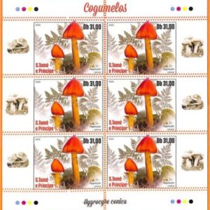 A6746 - SAO TOME & PRINCIPE, Error, 2020, MISSPERF MINIATURE SHEET: Mushrooms