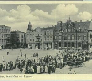 84004 - POLAND  - VINTAGE collectable POSTCARD -  KONITZ