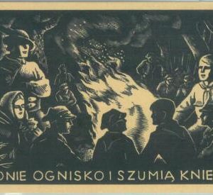 84009 - POLAND - VINTAGE collectable POSTCARD -  Illustrated Advertising  card