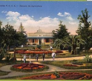 af0500 - ARGENTINA - Vintage Postcard - Casilda F.C.C.A.