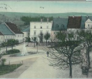 83983 - POLAND  - VINTAGE collectable POSTCARD -  LEWIN 1912