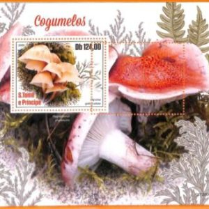 A6745 - SAO TOME & PRINCIPE, Error, 2020, MISSPERF SOUVENIR SHEET: Mushrooms