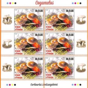 A6749 - SAO TOME & PRINCIPE, Error, 2020, MISSPERF MINIATURE SHEET: Mushrooms