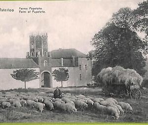 af5123 - BELGIUM Belgique - Carte Postal Ancienne VINTAGE POSTCARD - Waterloo