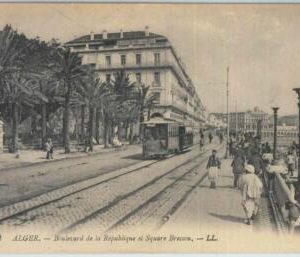 80072 - ALGERIA  Algérie -  Carte postal VINTAGE POSTCARD -  ALGER:  Tram !