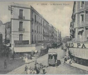 80126 - ALGERIA  Algérie -  Carte postal VINTAGE POSTCARD -  ORAN    Tram