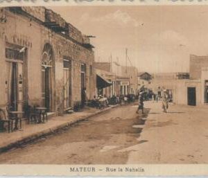 80134 - ALGERIA  Algérie -  Carte postal VINTAGE POSTCARD -  Mateur