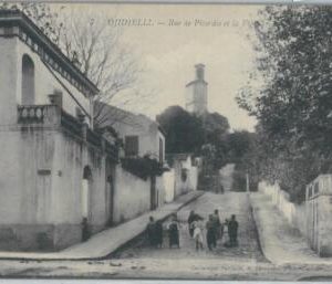 80141 - ALGERIA  Algérie -  Carte postal VINTAGE POSTCARD -  Djidjelli
