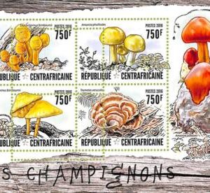 A7642 - CENTRAFRICAINE- ERROR MISPERF Stamp Sheet - 2016 - NATURE  Mushrooms