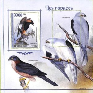 A7568 - CENTRAFRICAINE - ERROR MISPERF Stamp Sheet - 2021 - Birds: eagle or HAWK