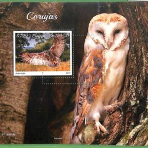 A3204 - SAO TOME & PRINCIPE, ERROR MISPERF, Souvenir sheet: 2019, Owls, Birds