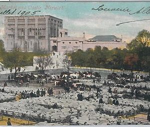 55239  -  GREAT BRITAIN -  VINTAGE POSTCARD :  Norwich CATTLE MARKET 1905