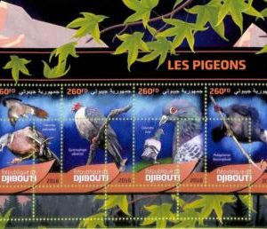 A7671- DJIBOUTI - ERROR MISPERF Stamp Sheet - 2016 BIRDS Pigeons