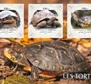 A7690 - DJIBOUTI -  Stamp Sheet - 2021 Reptiles  Turtles