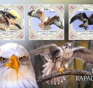 A7674- DJIBOUTI - Stamp Sheet - 2021 BIRD of PREY  Eagles