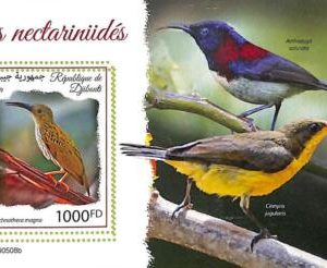 A7666 - DJIBOUTI - ERROR MISPERF Stamp Sheet - 2019  BIRDS