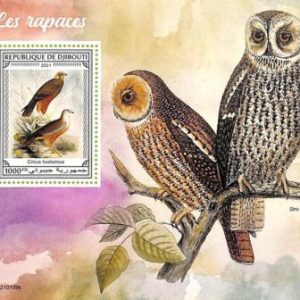 A7682 - DJIBOUTI - Stamp Sheet - 2021 BIRDS Owls