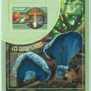 M1558 - Niger - ERROR - МISPERF stamp sheet  2014   : Mushrooms, Nature