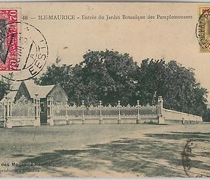 52360 - MAURITIUS  -  POSTAL HISTORY - POSTCARD : BOTANICAL GARDENS 1928