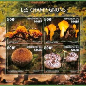 A2422 - NIGER - ERROR: MISPERF, Miniature sheet - 2019, Mushrooms